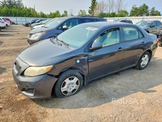 TOYOTA COROLLA BASE