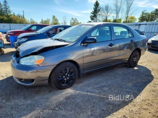 TOYOTA COROLLA CE