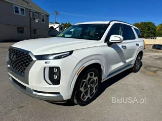 HYUNDAI PALISADE CALLIGRAPHY