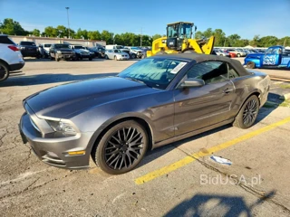 FORD MUSTANG