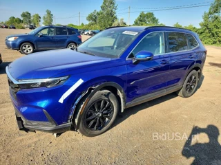 HONDA CR-V SPORT