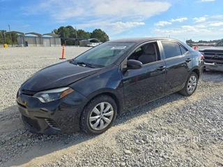 TOYOTA COROLLA LE
