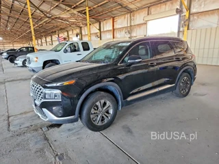HYUNDAI SANTA FE BLUE