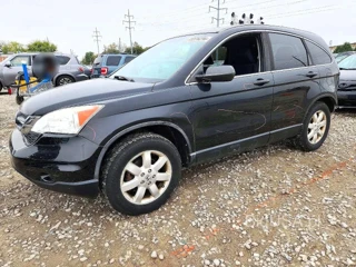 HONDA CR-V SE