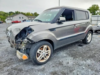 KIA SOUL +