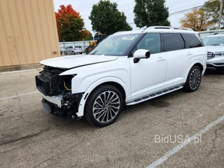 HYUNDAI PALISADE CALLIGRAPHY