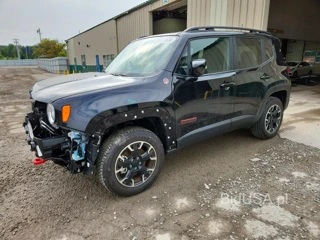 JEEP RENEGADE TRAILHAWK