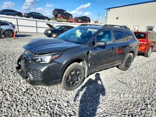 SUBARU OUTBACK WILDERNESS