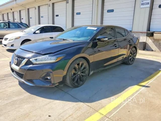 NISSAN MAXIMA SR