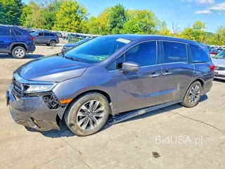 HONDA ODYSSEY EXL