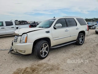 CADILLAC ESCALADE LUXURY