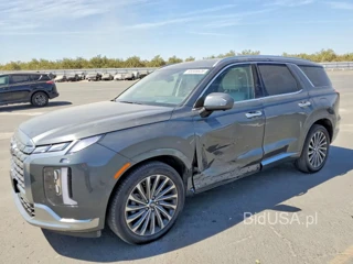HYUNDAI PALISADE CALLIGRAPHY