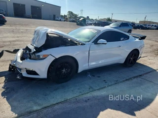 FORD MUSTANG BASE
