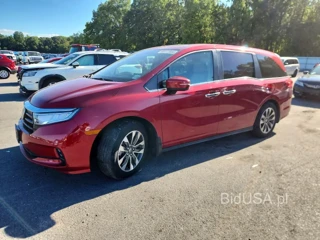 HONDA ODYSSEY EXL