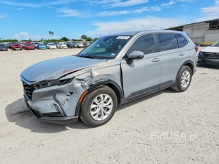 HONDA CR-V LX