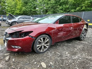 NISSAN MAXIMA PLATINUM