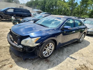 NISSAN MAXIMA 3.5 S