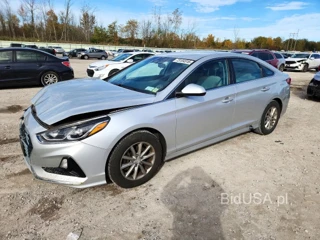 HYUNDAI SONATA ECO