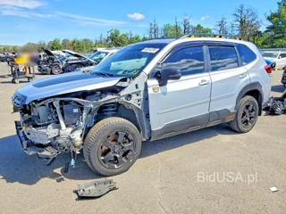 SUBARU FORESTER WILDERNESS