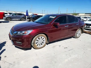 HONDA ACCORD EXL