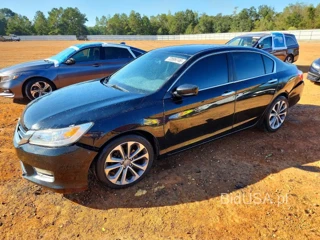 HONDA ACCORD SPORT