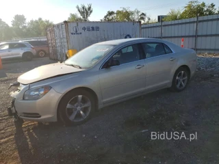 CHEVROLET MALIBU 1LT