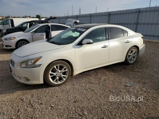 NISSAN MAXIMA 3.5 SV