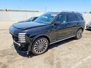 HYUNDAI PALISADE CALLIGRAPHY