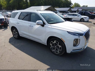 HYUNDAI HYUNDAI PALISADE CALLIGRAPHY