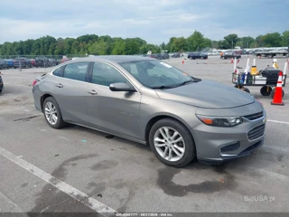 CHEVROLET CHEVROLET MALIBU 1LT