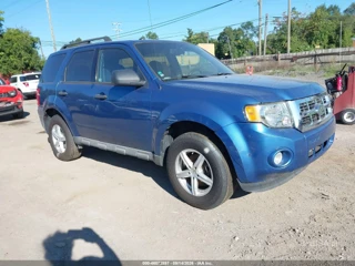 FORD FORD ESCAPE XLT