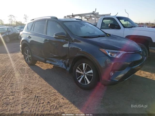 TOYOTA TOYOTA RAV4 XLE