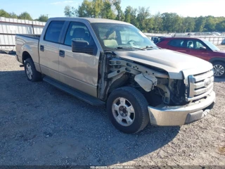 FORD FORD F-150 KING RANCH/LARIAT/PLATINUM/XL/XLT