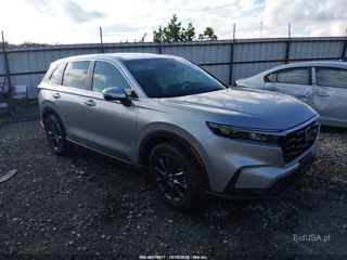 HONDA HONDA CR-V EX-L 2WD