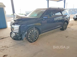 HYUNDAI PALISADE CALLIGRAPHY