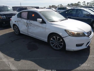 HONDA HONDA ACCORD SPORT