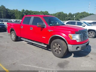 FORD FORD F-150 XLT