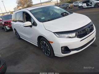 HONDA HONDA ODYSSEY ELITE