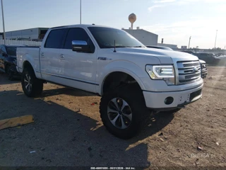 FORD FORD F-150 PLATINUM