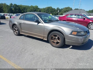 FORD FORD MUSTANG