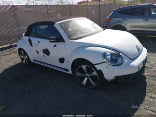 VOLKSWAGEN VOLKSWAGEN BEETLE 2.0T