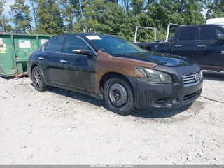 NISSAN NISSAN MAXIMA 3.5 SV