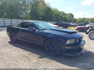 FORD FORD MUSTANG GT DELUXE/GT PREMIUM