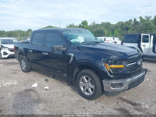 FORD FORD F-150 XLT