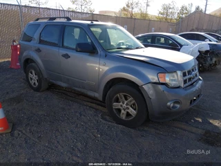 FORD FORD ESCAPE HYBRID
