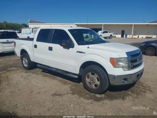 FORD FORD F-150 XLT