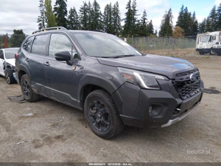 SUBARU SUBARU FORESTER WILDERNESS