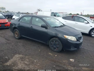 TOYOTA TOYOTA COROLLA