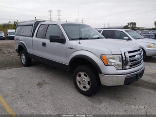 FORD FORD F-150 XLT