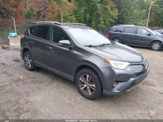 TOYOTA TOYOTA RAV4 XLE